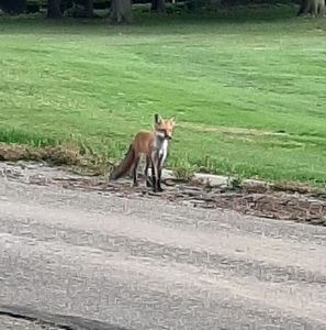 Meet your Posher, Jeffery